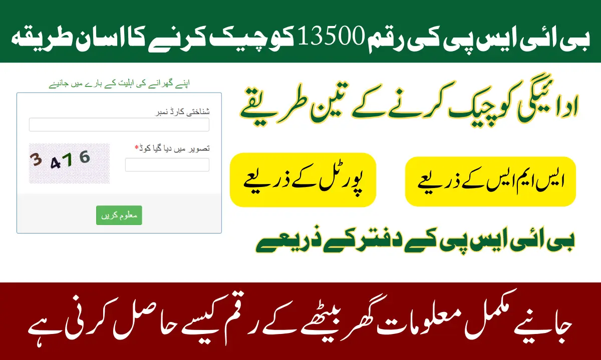 BISP 8171 Online Check Balance Through Web Portal And SMS Method 2025